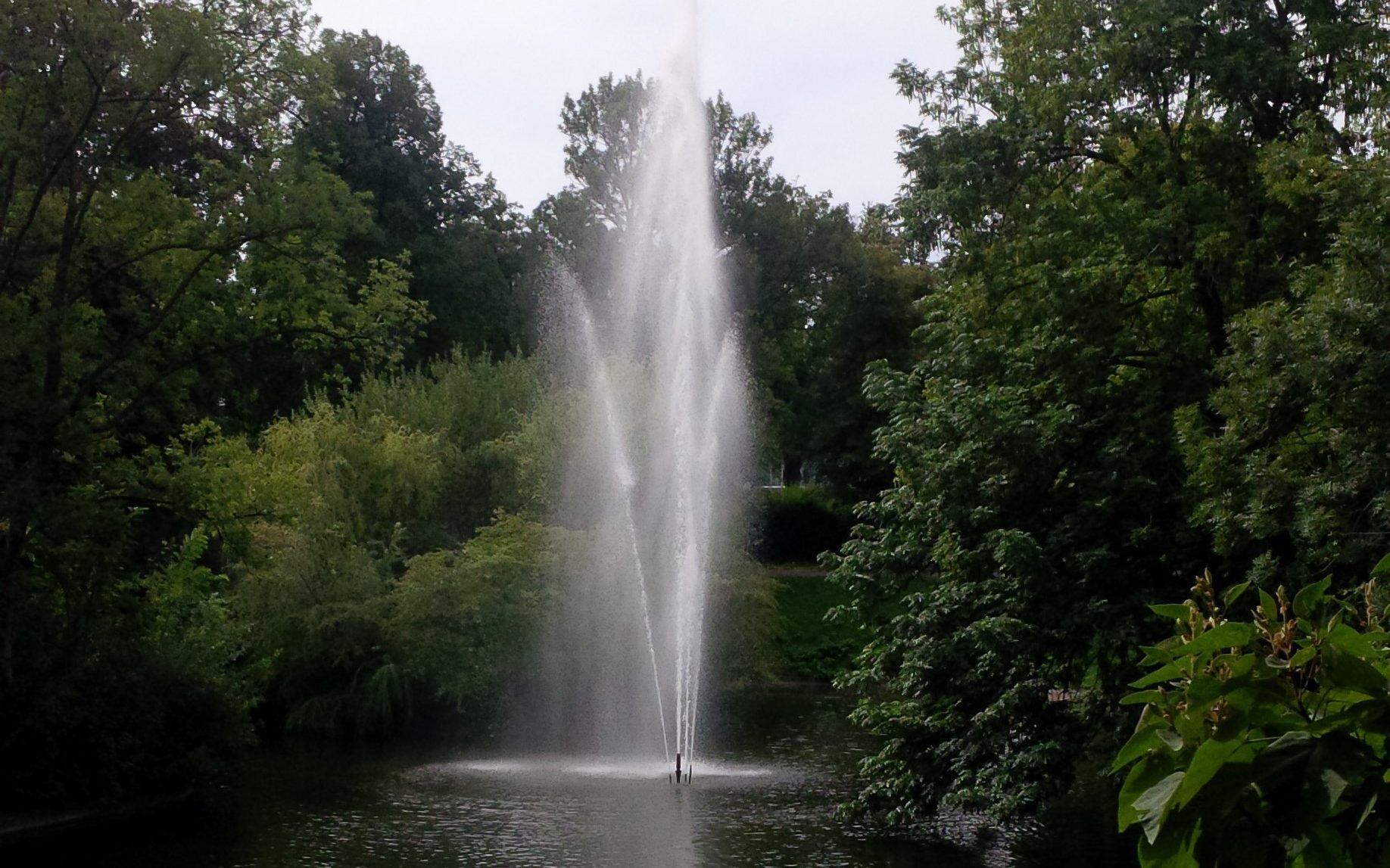 Hochstrahlbrunnen im Türkenschanzpark